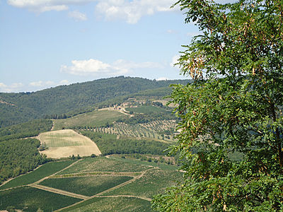 toskana10-0160