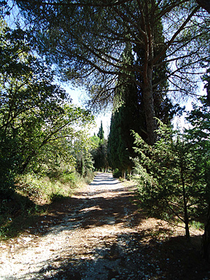 toskana10-0370