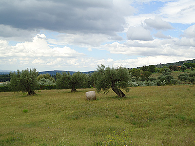 toskana10-0399