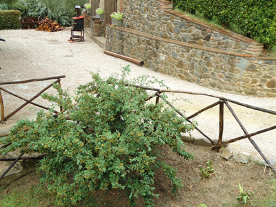 toskana11-0772