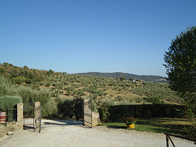 toskana11-0972