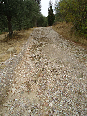 toskana12-1962