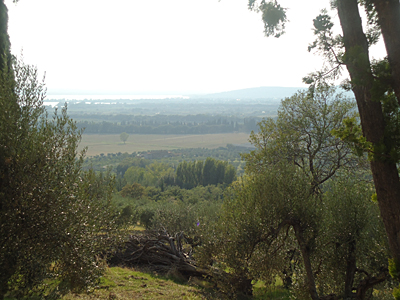 toskana12-2183