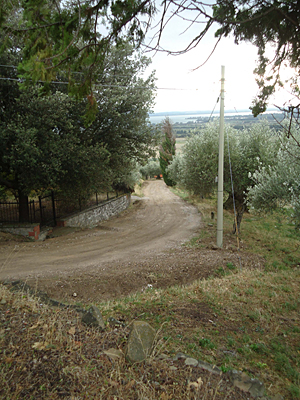 toskana12-2290