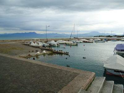 tosk2014-3858
