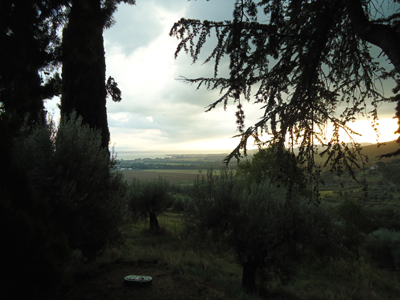 tosk2014-3938