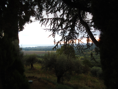 tosk2014-3948