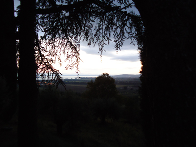 tosk2014-3954
