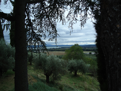 tosk2014-3961