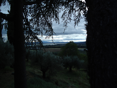 tosk2014-3962