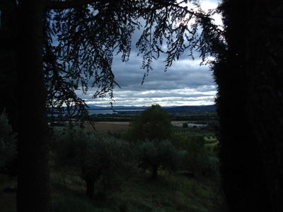 tosk2014-3964