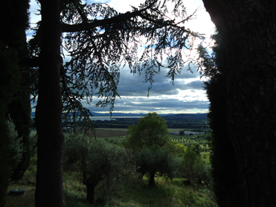 tosk2014-3968