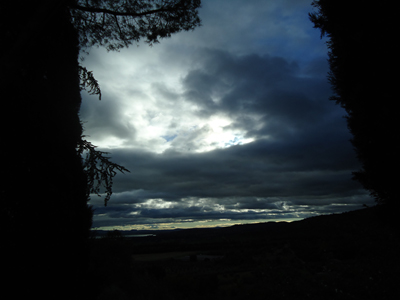 tosk2014-3969