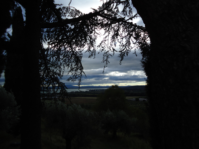 tosk2014-3970