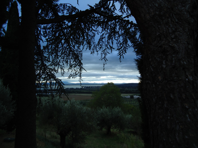 tosk2014-3972