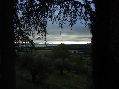 tosk2014-3974