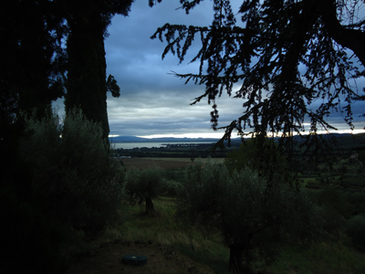 tosk2014-3975
