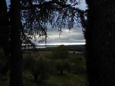 tosk2014-3976