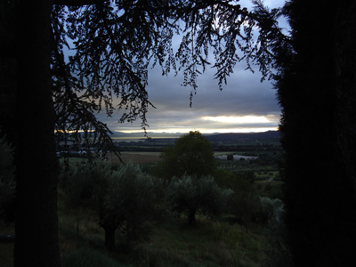 tosk2014-3979
