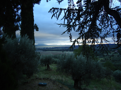 tosk2014-3980