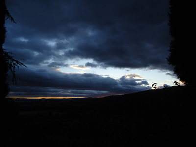 tosk2014-3981