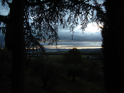 tosk2014-3982