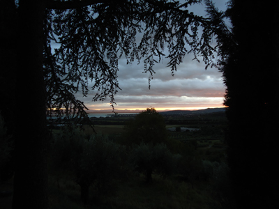 tosk2014-3984