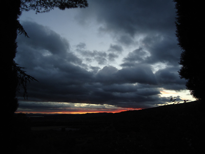 tosk2014-3988