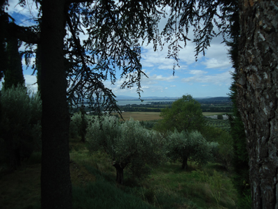 tosk2014-3991