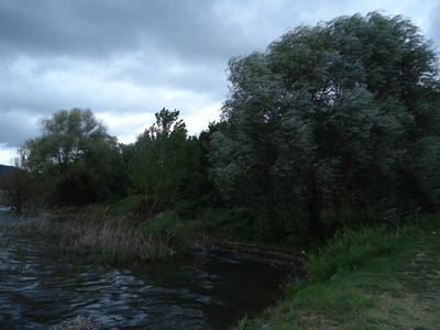 tosk2014-4005