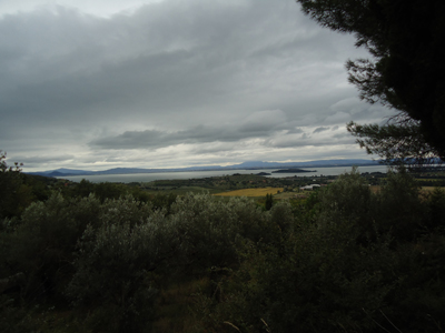 tosk2014-4046