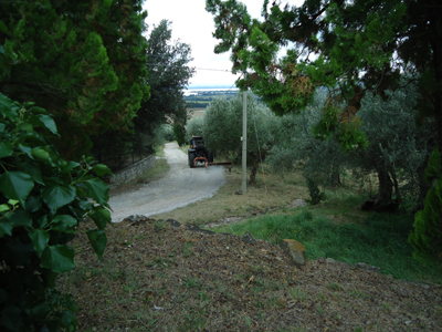 tosk2014-4050
