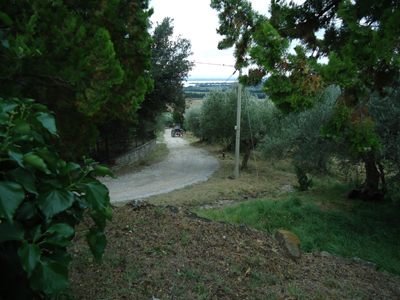 tosk2014-4051