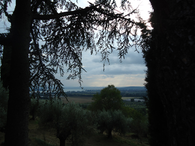 tosk2014-4054