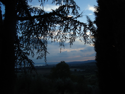 tosk2014-4056