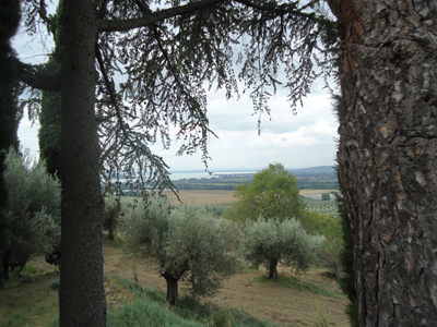 tosk2014-4070