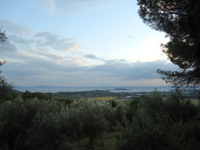 tosk2014-4136