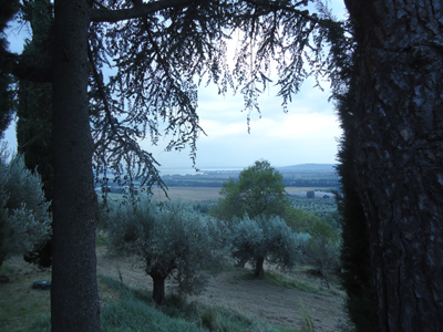 tosk2014-4159