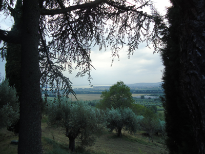 tosk2014-4162