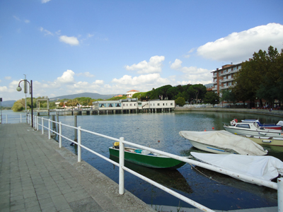 tosk2014-4173