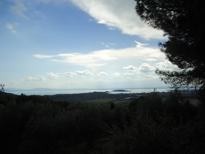tosk2014-4209