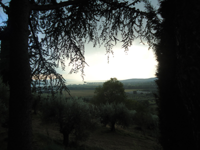 tosk2014-4219