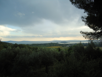 tosk2014-4222