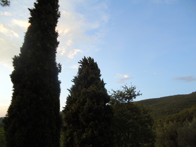 tosk2014-4232