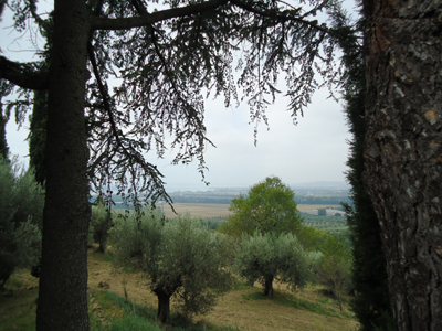 tosk2014-4272