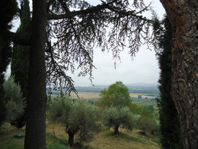 tosk2014-4291