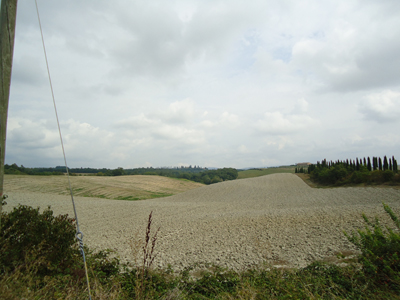 tosk2014-4294