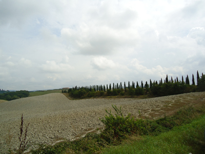 tosk2014-4295