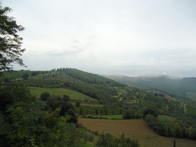 tosk2014-4316