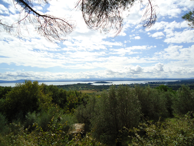 tosk2014-4340